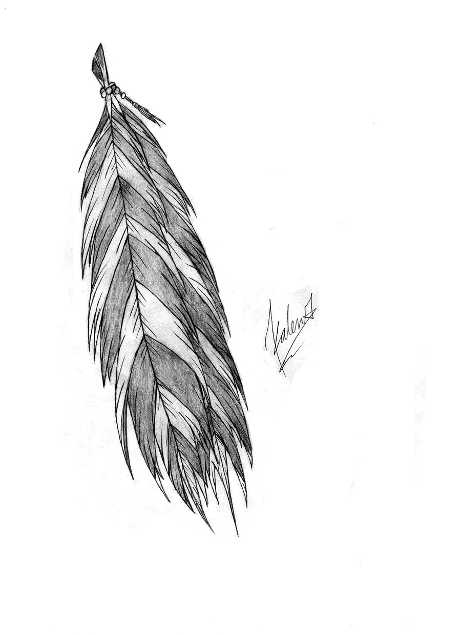eagle feather clipart 14 free Cliparts | Download images on Clipground 2024
