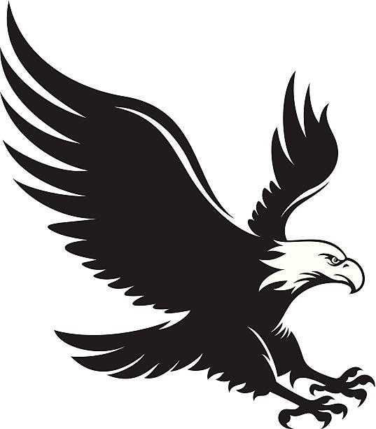 eagle flying clipart 14 free Cliparts | Download images on Clipground 2024