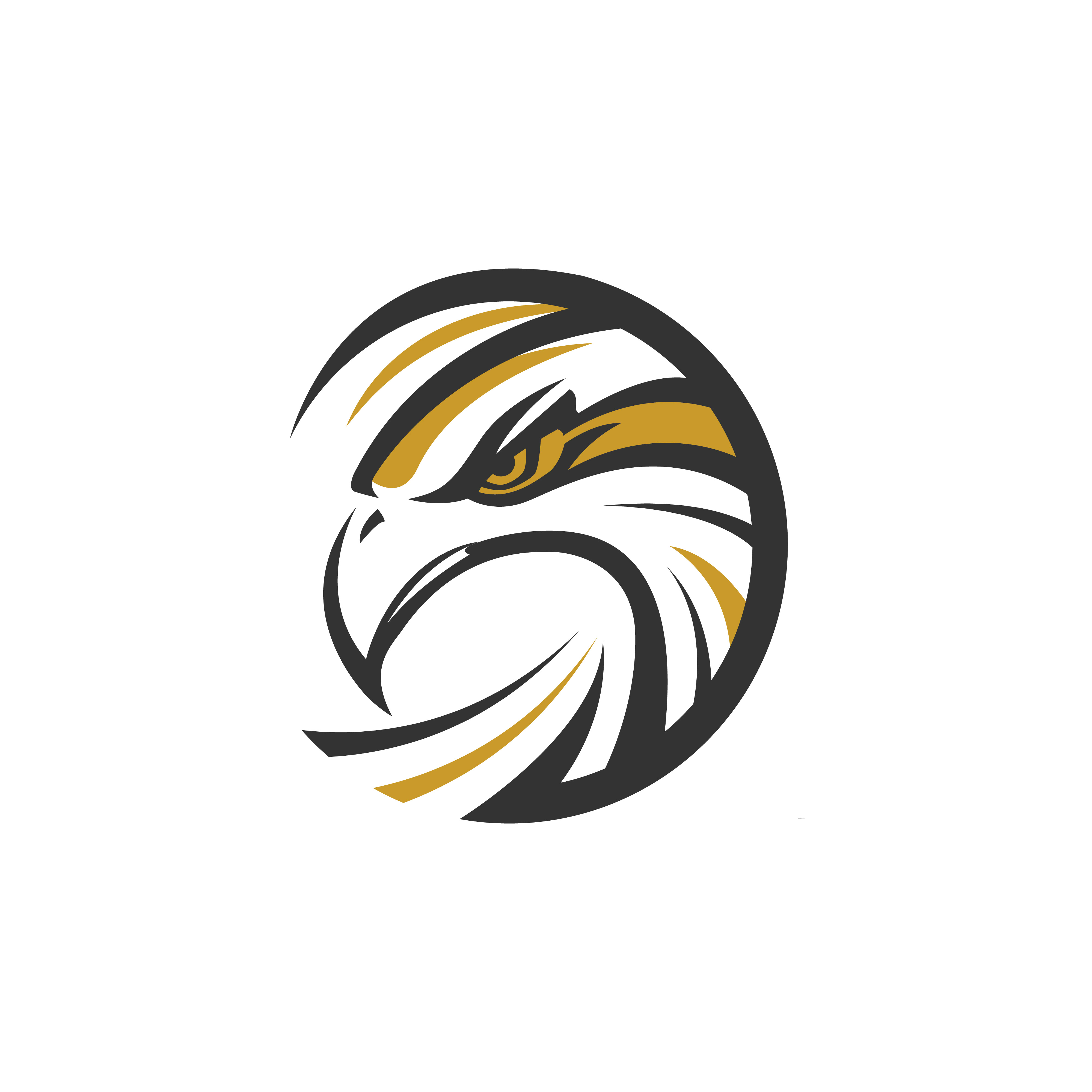 Circle Eagle Sea Hawk Logo.