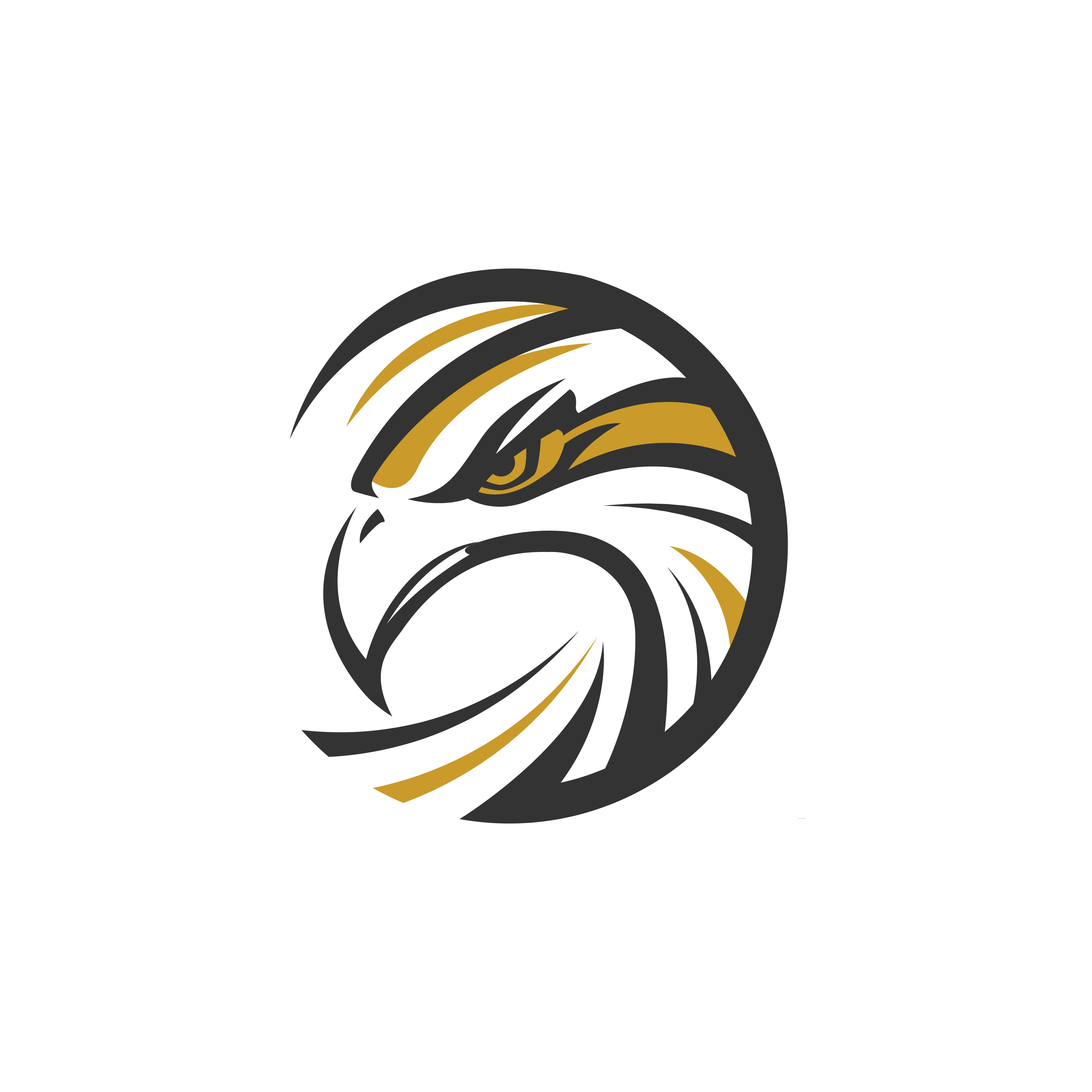 eagle logo