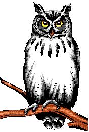Owl and Eagle Clip Art.