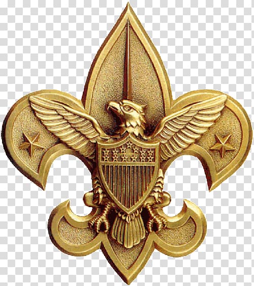 Eagle Scout Service Project Boy Scouts of America World Scout Emblem.