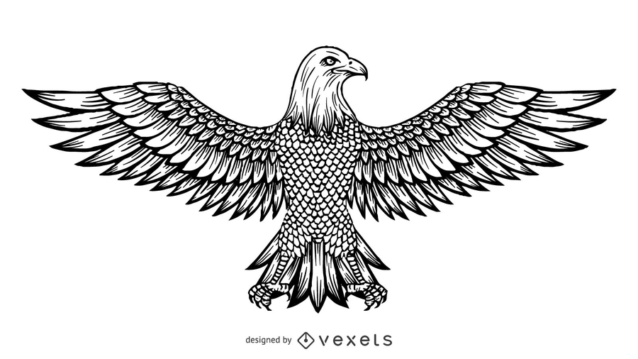 Vector Line Drawing Of The Eagle.