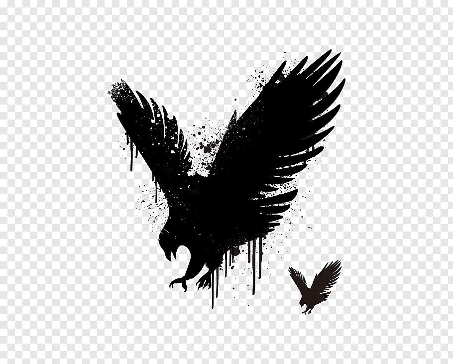 Eagle illustration, Hawk Stencil Euclidean Eagle, Eagle.