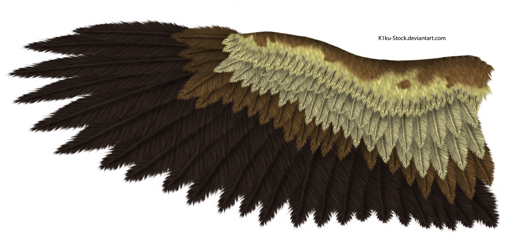 Eagle Wings PNG Background Image.