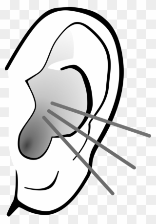 Free PNG Ears Black And White Clip Art Download.