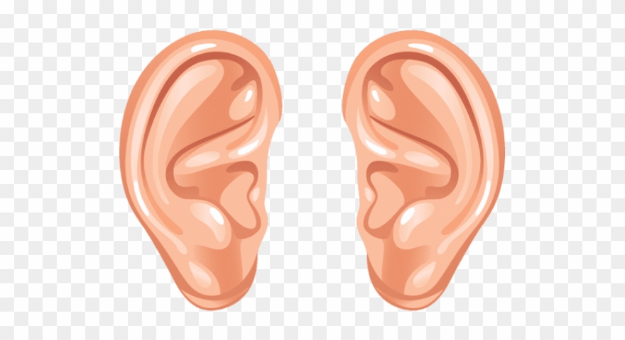 Ear Png Transparent Images.