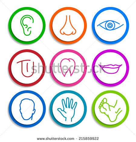 ear mouth clipart 20 free Cliparts | Download images on Clipground 2024