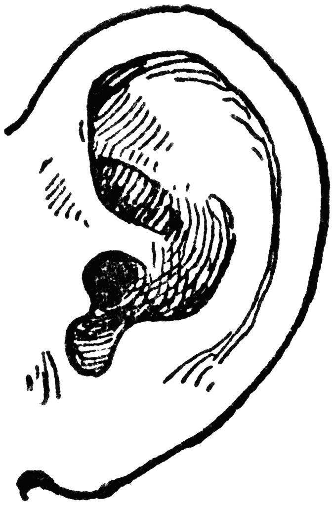 Ear Black And White Clipart.