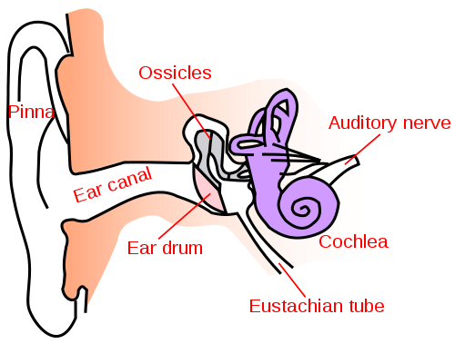 Blocked Ears & Sound Therapy.