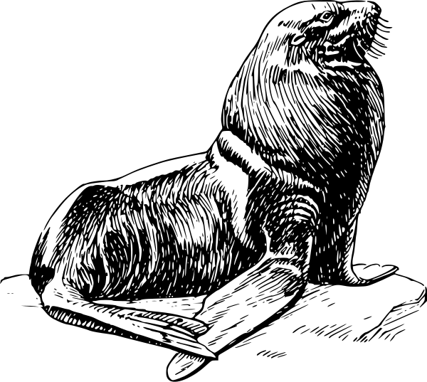 Free Seal Clipart, 1 page of Public Domain Clip Art.