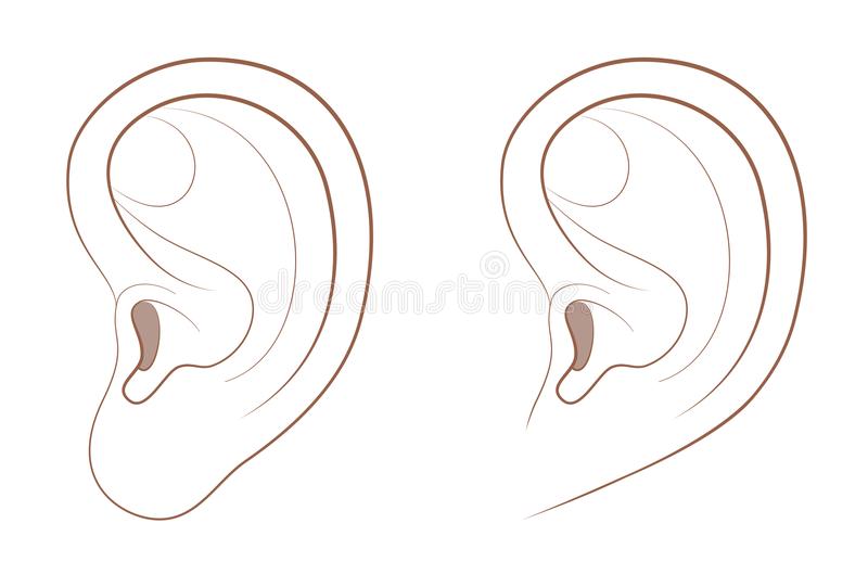 Earlobe Stock Illustrations.