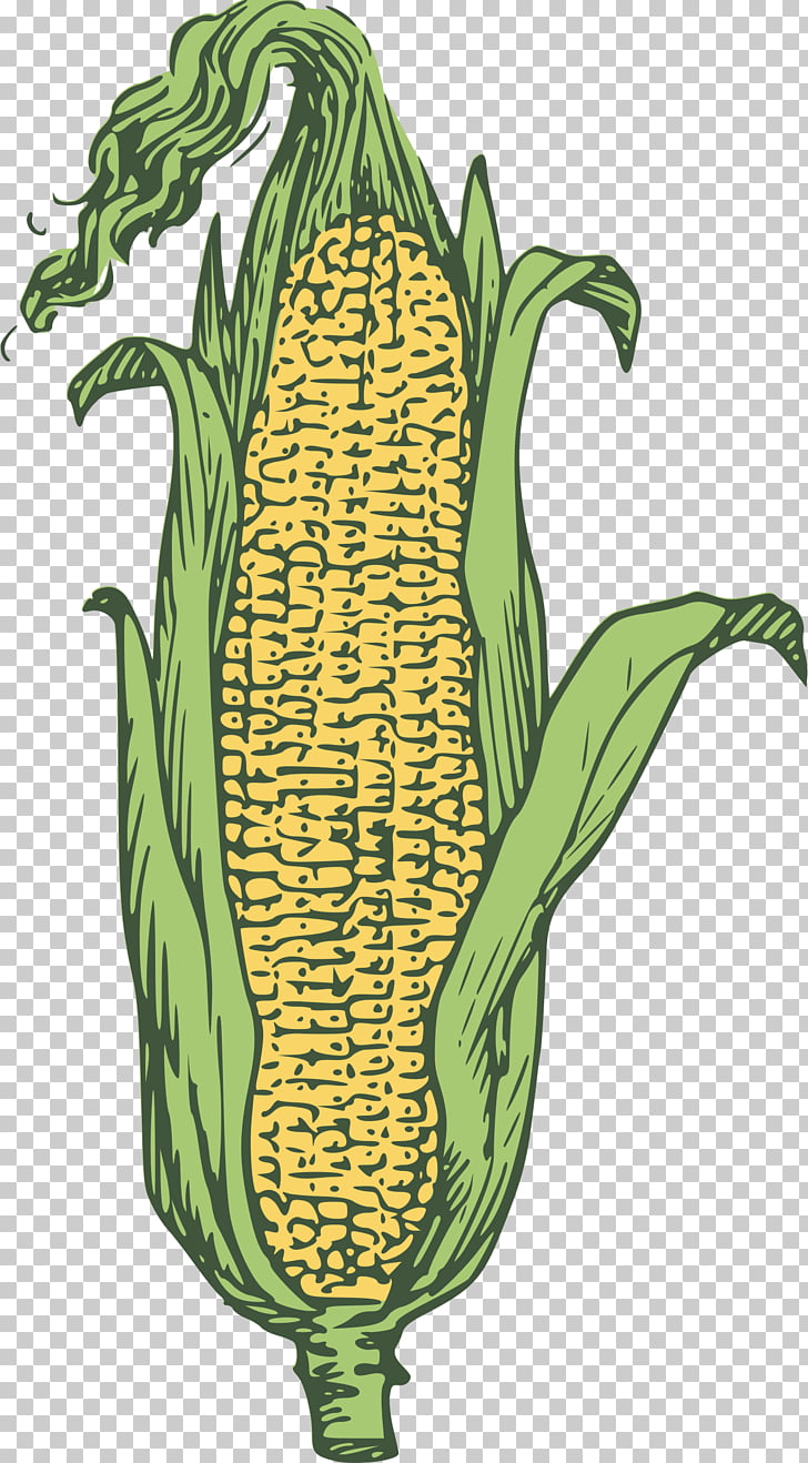Candy corn Corn on the cob Popcorn Maize Ear, Ear Of Corn.