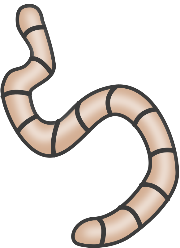 Earthworm Clip Art Download.