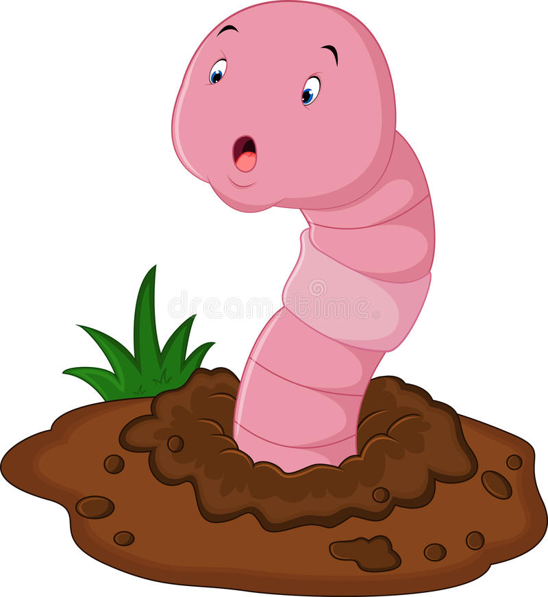 Earthworm Stock Illustrations.