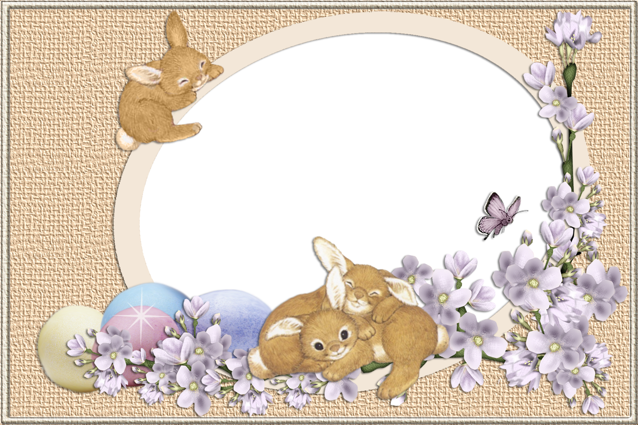 Easter Bunnies Transparent PNG Frame.