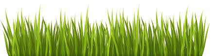 Easter Grass PNG Download Image.