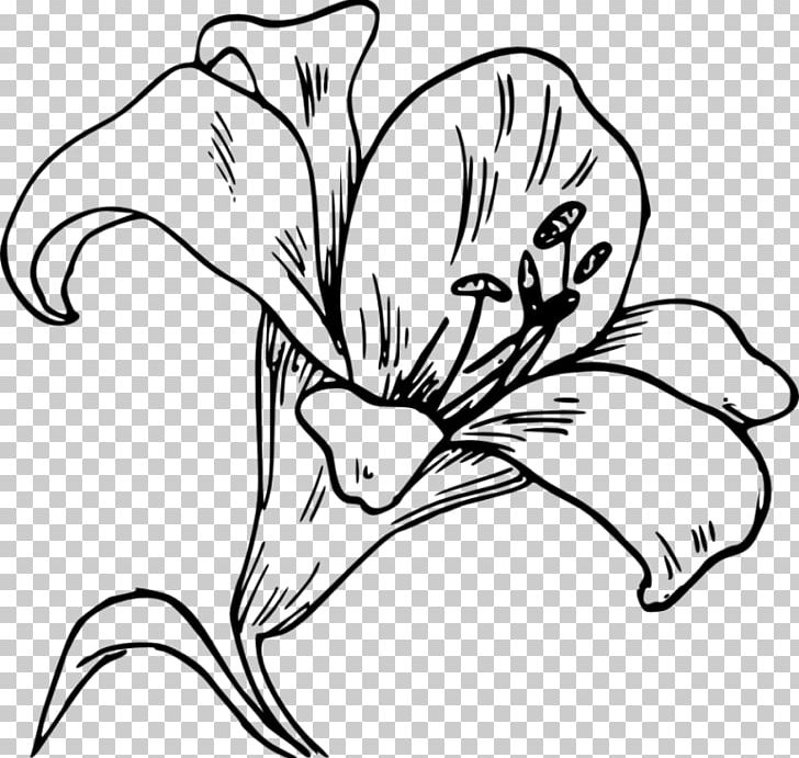 Easter Lily Lilium 'Stargazer' Computer Icons PNG, Clipart, Art.