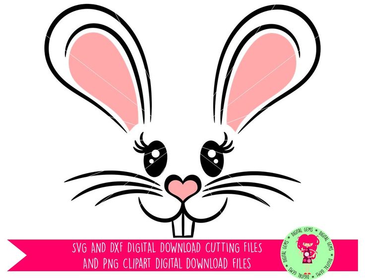 Download easter rabbit face clipart eyes - Clipground