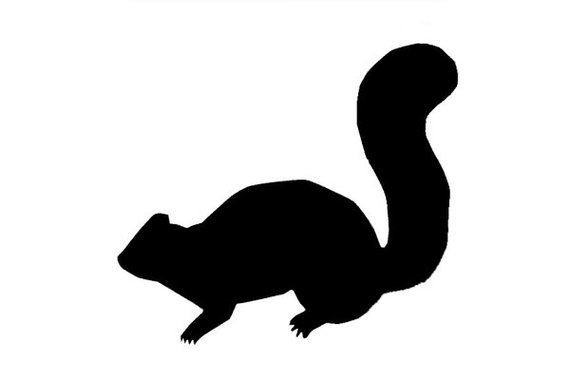 Eastern Gray Squirrel Facts NatureMapping Clipart.