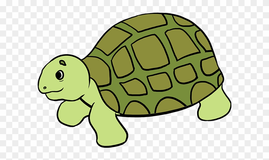 How To Draw Sea Turtle.