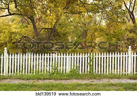 Stock Photograph of White picket fence at woods edge bld139519.
