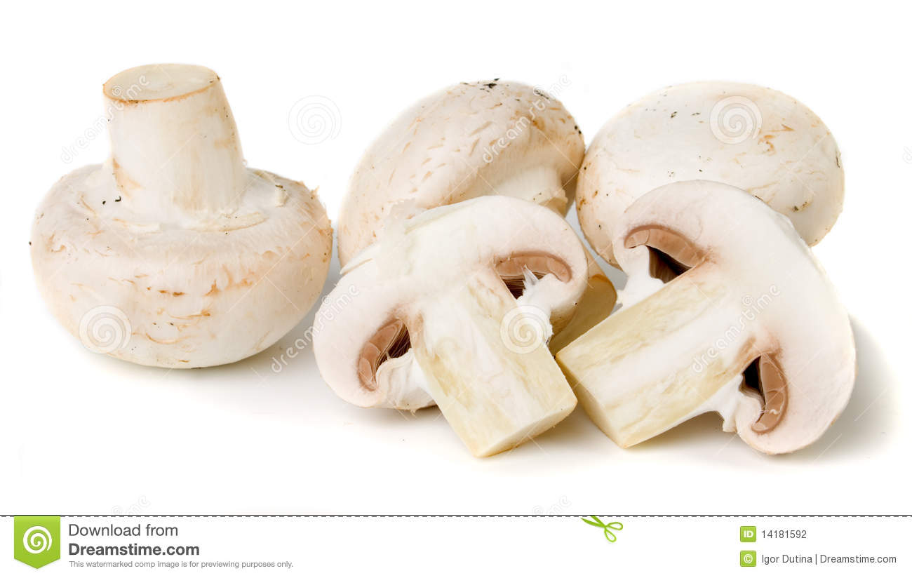 Edible mushroom clipart.