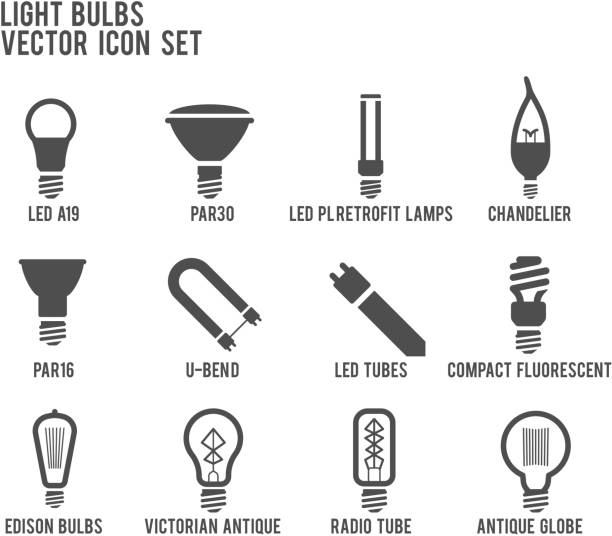 Best Edison Light Bulb Illustrations, Royalty.