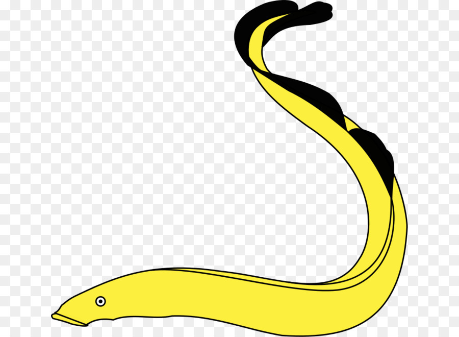 Eel Area png download.