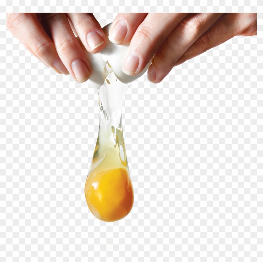 Raw Egg Yolk Png, Transparent Png.