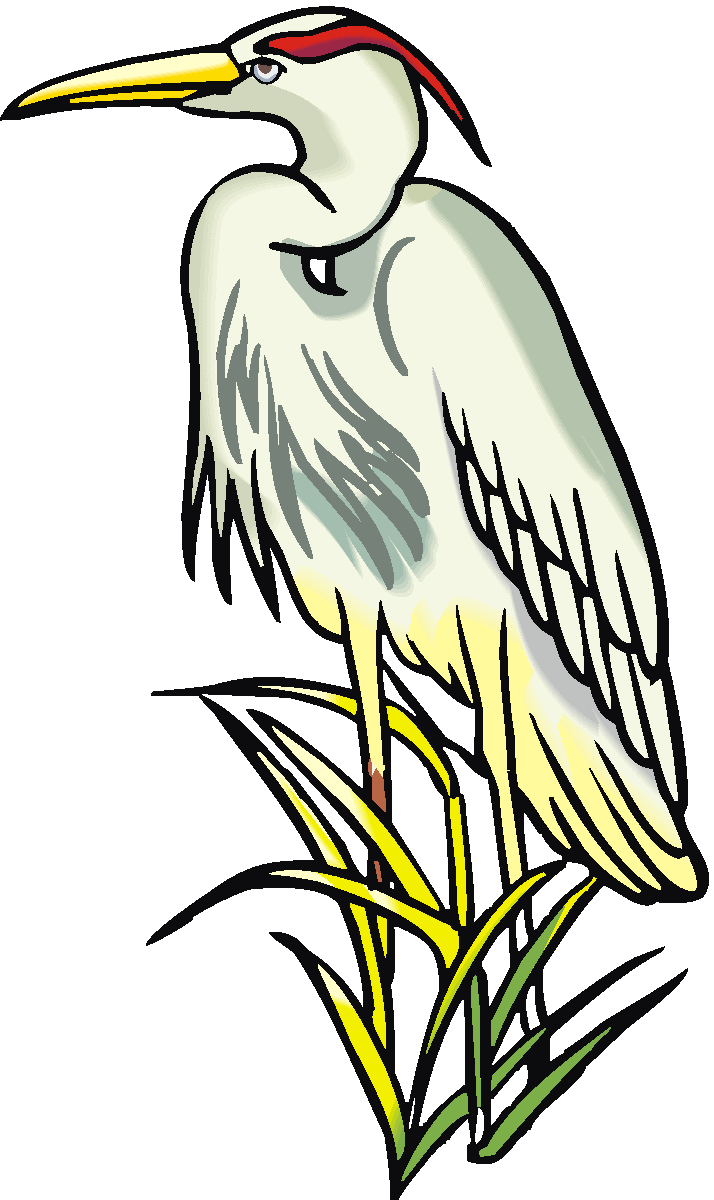 Egret clip art free.