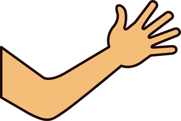 Elbow clipart human arm, Elbow human arm Transparent FREE for.