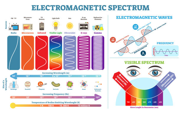 Best Electromagnetic Spectrum Illustrations, Royalty.