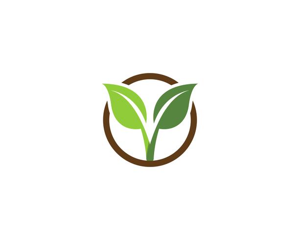 ecology logo nature element vector.