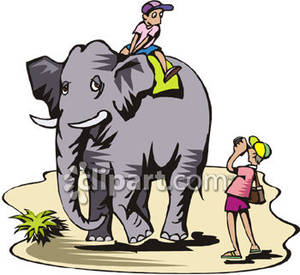 Taking an Elephant Ride.