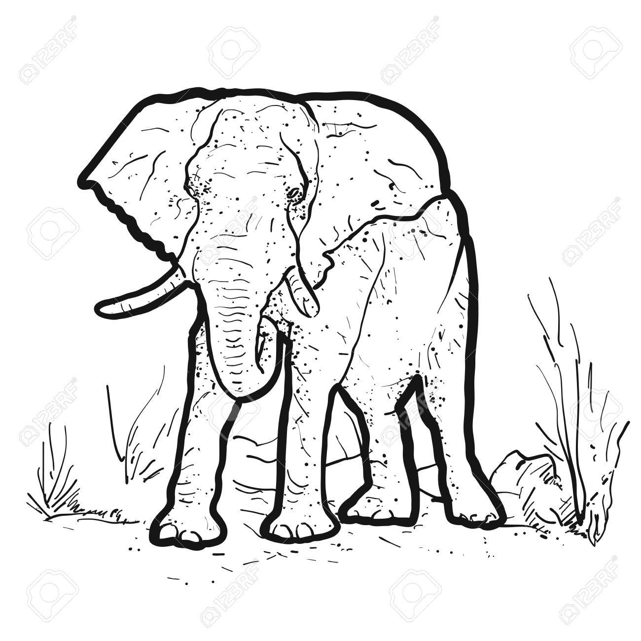 two elephants outline