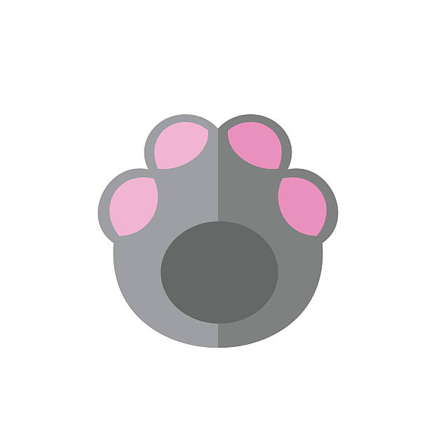 elephant paw print clip art 20 free Cliparts | Download ...
