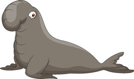 Elephant seal clipart.