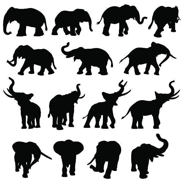 Free Free 303 Elephant Trunk Svg SVG PNG EPS DXF File