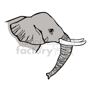 elephant tusk clipart 20 free Cliparts | Download images on Clipground 2024