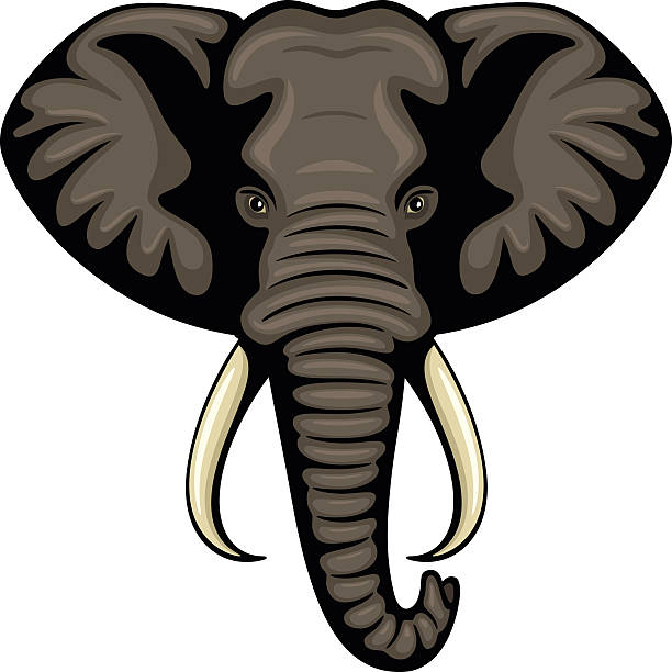 elephant tusk clipart 20 free Cliparts | Download images on Clipground 2024