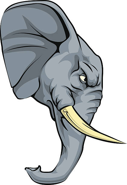 elephant tusk clipart 20 free Cliparts | Download images on Clipground 2024