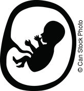 Embryo Clipart.