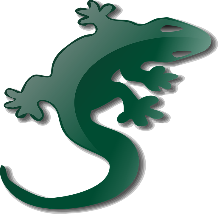 Free vector graphic: Salamander, Lizard, Reptile, Gecko.