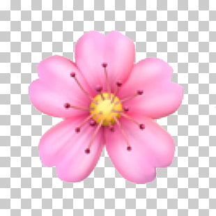 IPhone Emoji Flower Emoticon, peach blossom, pink petaled.