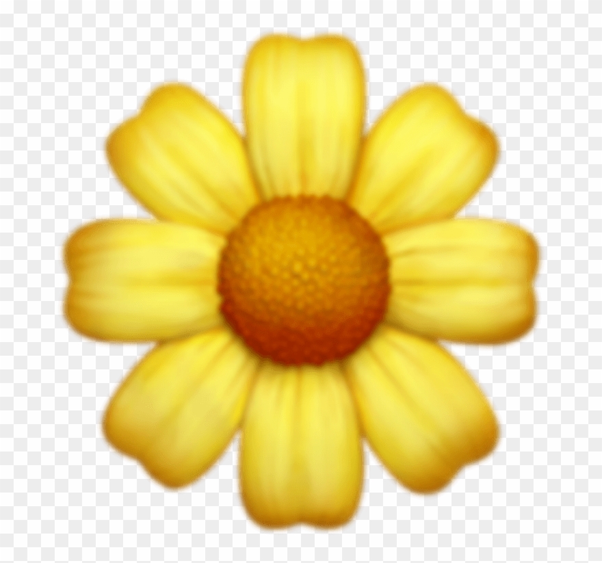 Flower Flowers Emoji Emojis Tumblr.