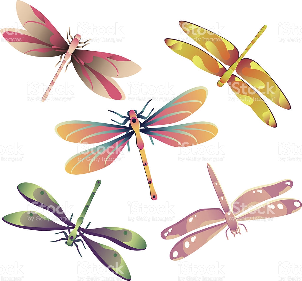 Emperor dragonfly clipart 20 free Cliparts | Download images on ...