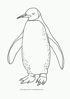 Emperor penguin clipart black and white.