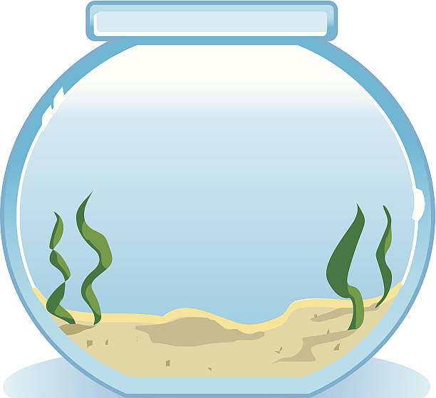 Download empty fish bowl clipart 20 free Cliparts | Download images ...