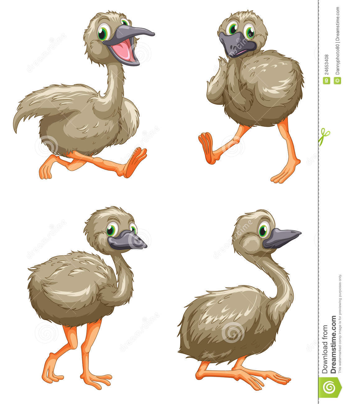 Emu Ostrich Series Royalty Free Stock Photos.